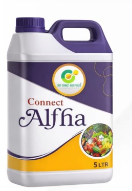 Connect Alffa